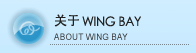 关于Wing Bay
